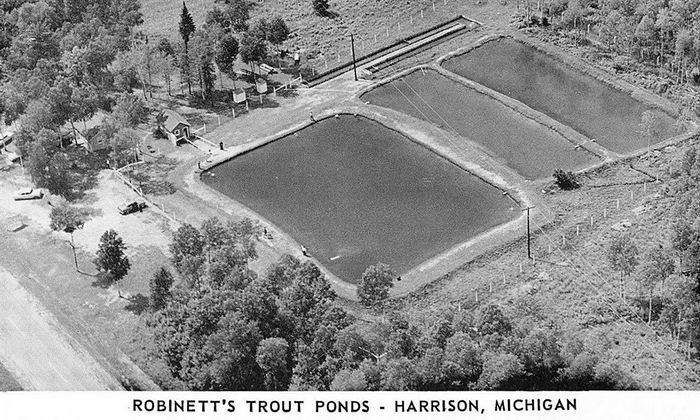 Robinetts Trout Ponds - POSTCARDS AND PROMO
